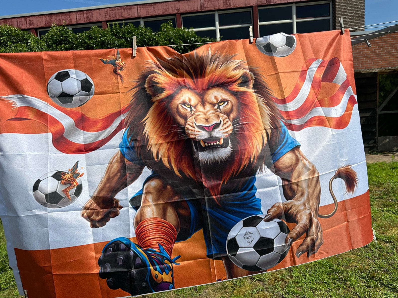 Prachtige grote voetbal vlag, Ophalen of Verzenden, Nieuw