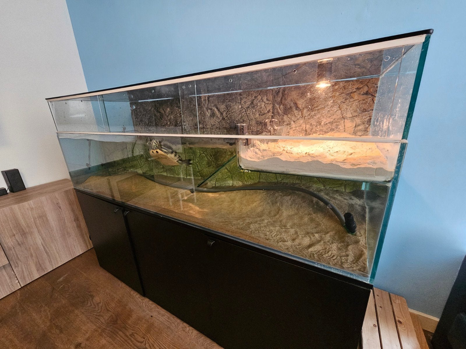 Aquarium paludarium 180 x 60 x 63 cm hoog, Ophalen, Zo goed als nieuw, Terrarium of Paludarium