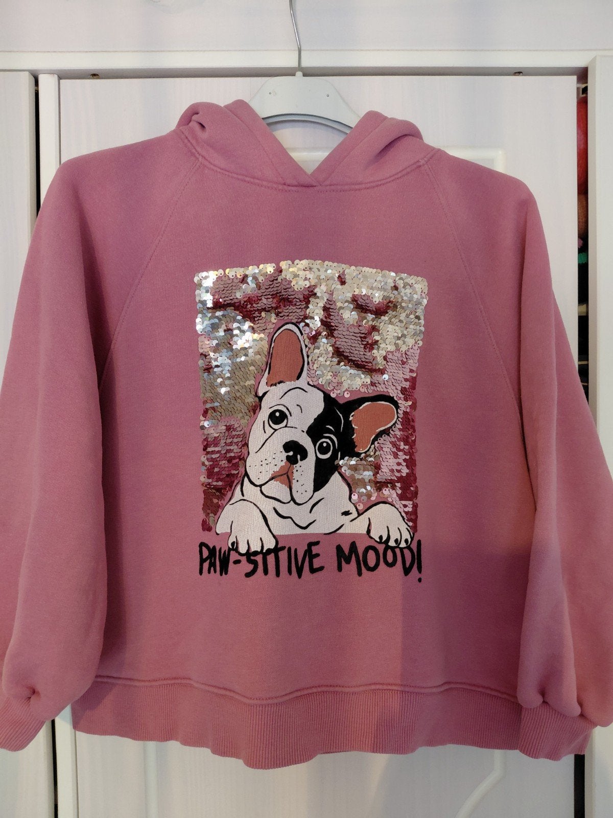 Zara hoodie roze met hond en pailletten mt 140, Kinderen en Baby's, Kinderkleding | Maat 140, Meisje, Trui of Vest, Ophalen of Verzenden