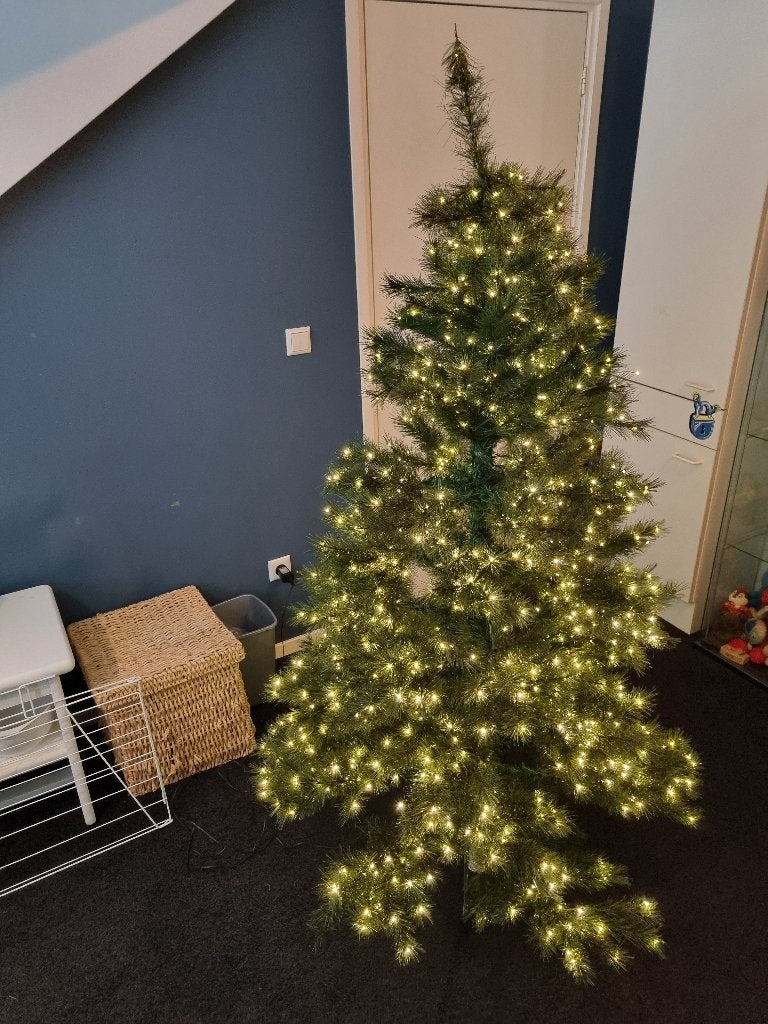 kerstboom, Ophalen, Gebruikt