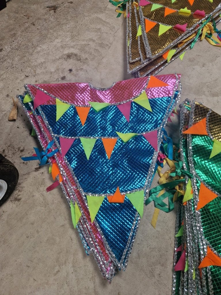Foto 14 van Carnavalskleding loopgroep optocht/stoet vlaggentjes pakken