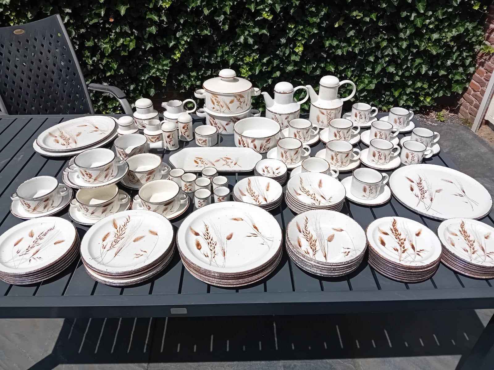 Compleet Midwinter Stonehenge Wild Oats servies puntgaaf., Ophalen of Verzenden, Zo goed als nieuw, Overige stijlen, Porselein