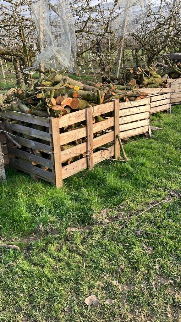 6 kuub kersenhout brandhout, 6 m³ of meer, Ophalen, Overige houtsoorten, Blokken