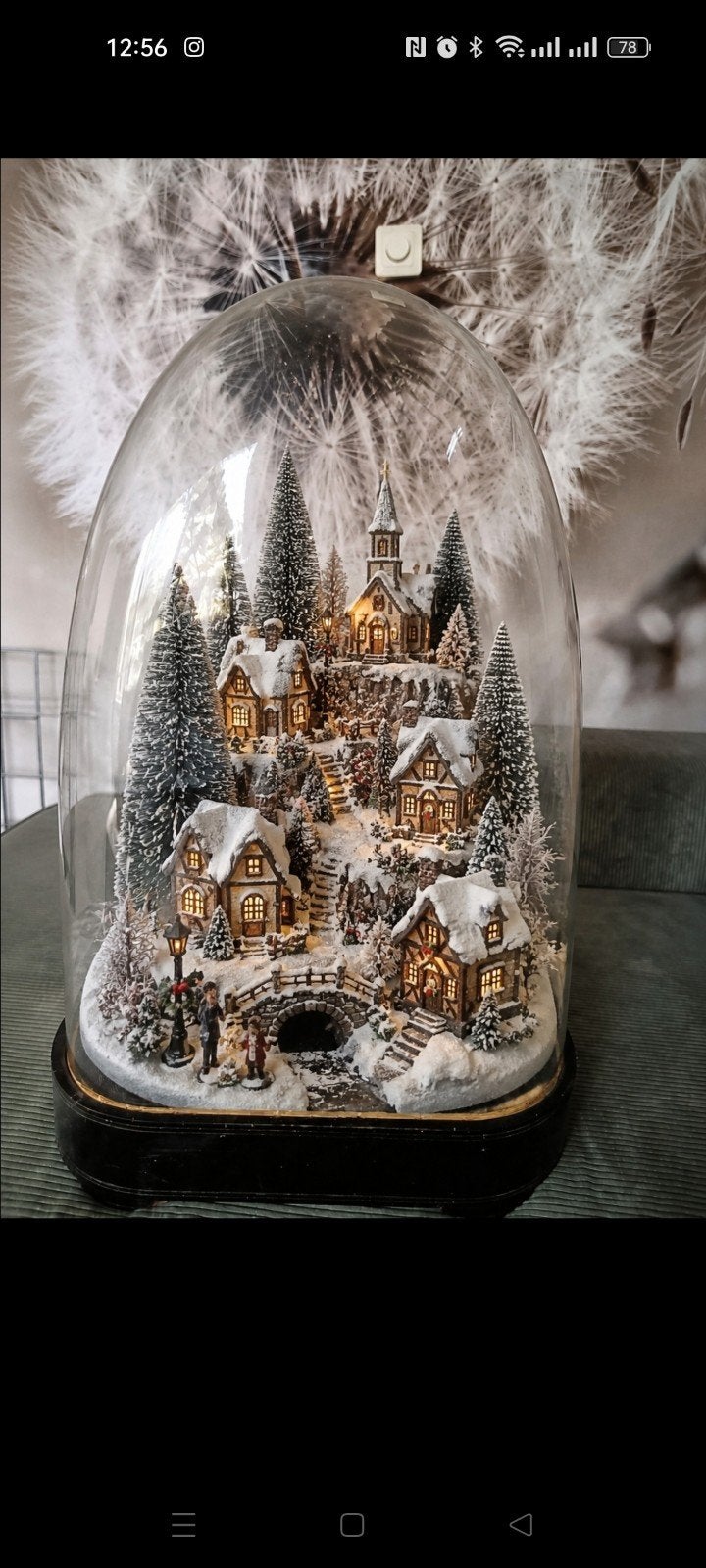 Antieke Ovale Glazen Stolp met Houten Onderstel - 60x40cm, Ophalen