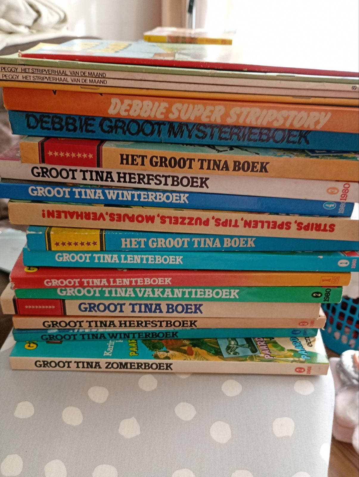 Tina, Debbie vakantieboek, Boeken, Ophalen, Gelezen