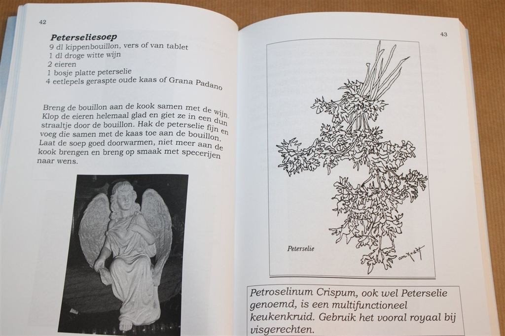 Koken met Engelenkracht — Spiritueel Kookboek & Recepten, Ophalen of Verzenden, Zo goed als nieuw, Overige onderwerpen, Achtergrond en Informatie
