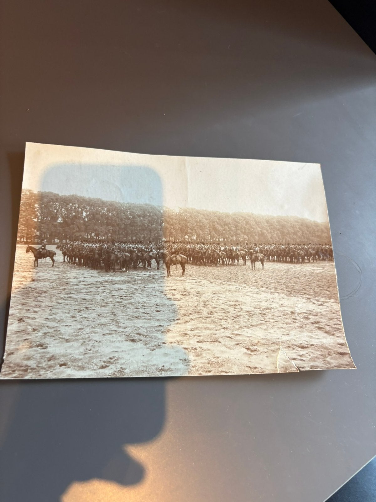 Oude originele foto Nederlandse huzaren cavalerie te paard, Verzenden, Voor 1940, Gebruikt, Overige onderwerpen