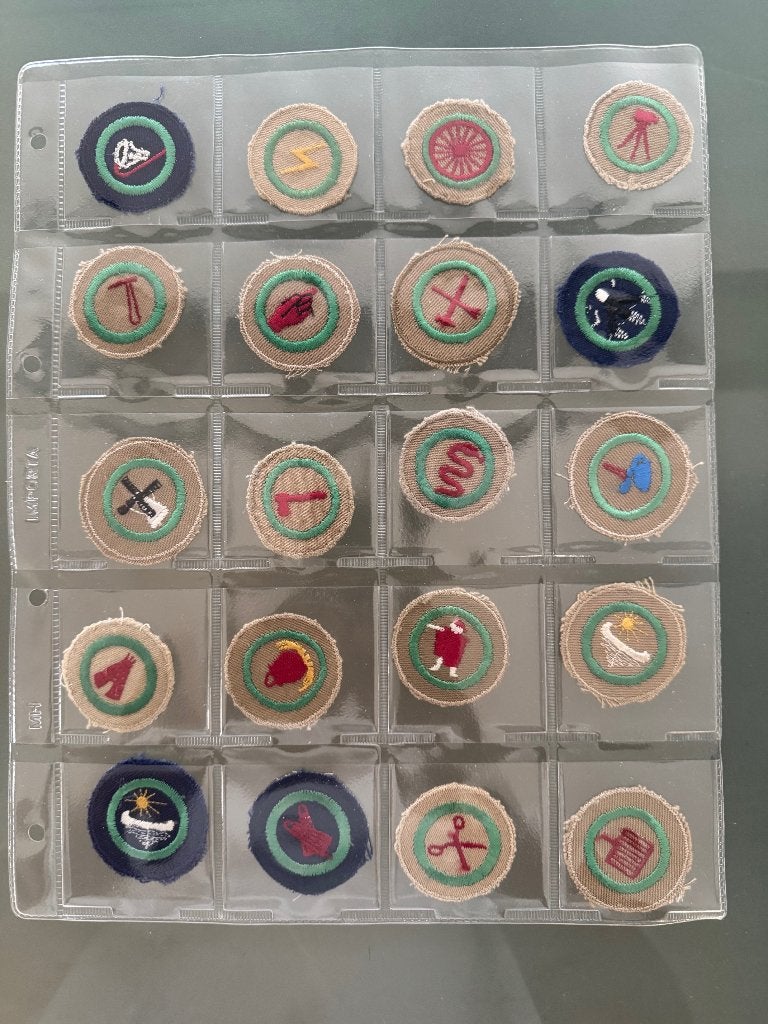110 vaardigheidsinsignes type g 1964-1973 COMPLEET, Verzamelen, Verzenden, Zo goed als nieuw, Embleem, Speld of Insigne