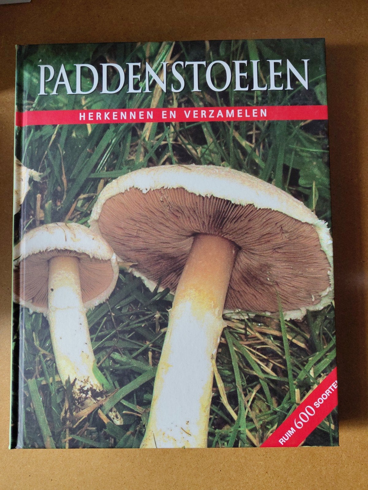 Paddenstoelen herkennen en verzamelen NIEUW!, Bloemen, Planten en Bomen, Ophalen of Verzenden, Lohmeyer en Künkele, Nieuw