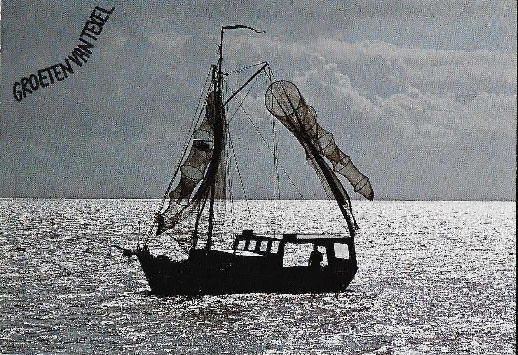 Q2825 ongelopen ansichtkaart groeten van texel, Ophalen of Verzenden, 1980 tot heden, Ongelopen, Waddeneilanden