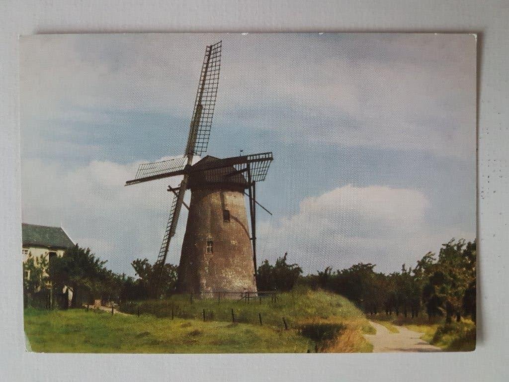Ansichtkaart Korenmolen te Rijswijk Maurik Molen windmolen, Verzamelen, Ophalen of Verzenden, 1960 tot 1980, Ongelopen, Zuid-Holland