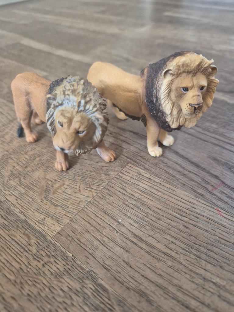 Schleich Leeuwen, Ophalen of Verzenden, Zo goed als nieuw, Wild dier, Beeldje of Figuurtje