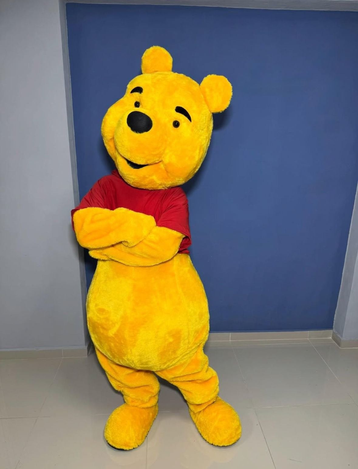 WINNIE DE POOH MASCOTTE VERHUUR, Hobby en Vrije tijd, Feestartikelen | Verhuur, Ophalen of Verzenden, Zo goed als nieuw, Verjaardag