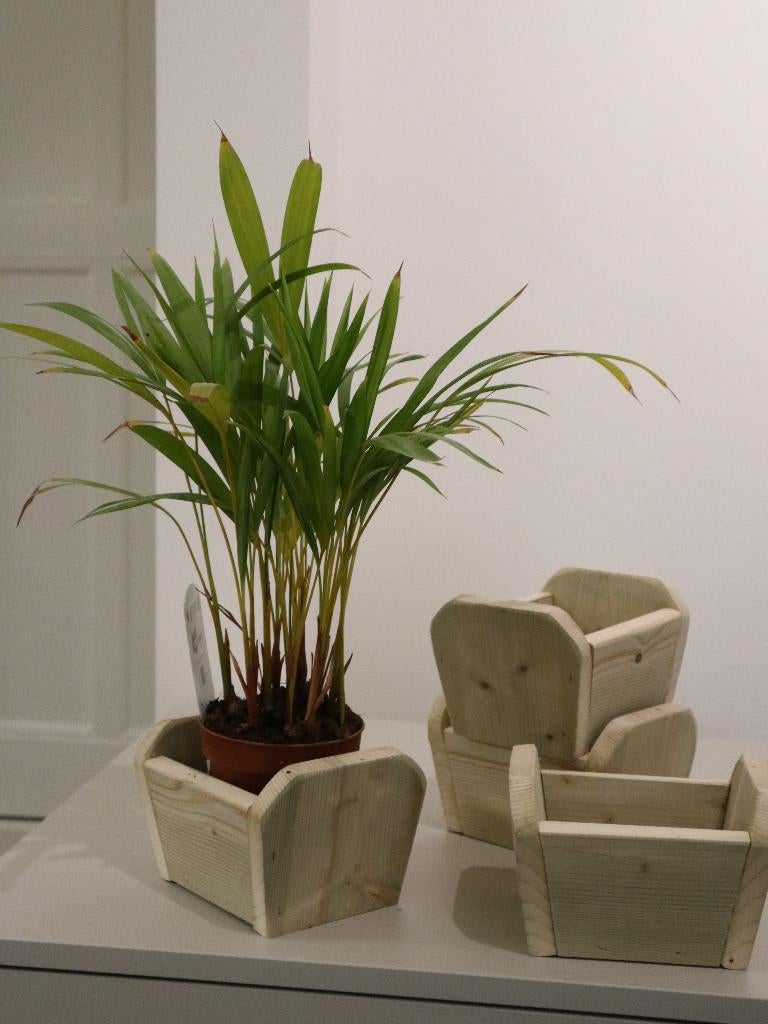 Plantenbak, Tuin en Terras, Ophalen, Minder dan 30 cm, Vierkant, Nieuw