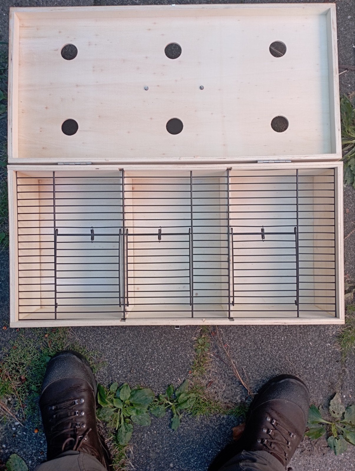 vervoerbox voor vogels, Ophalen, Zo goed als nieuw, Hout, Vogelkooi