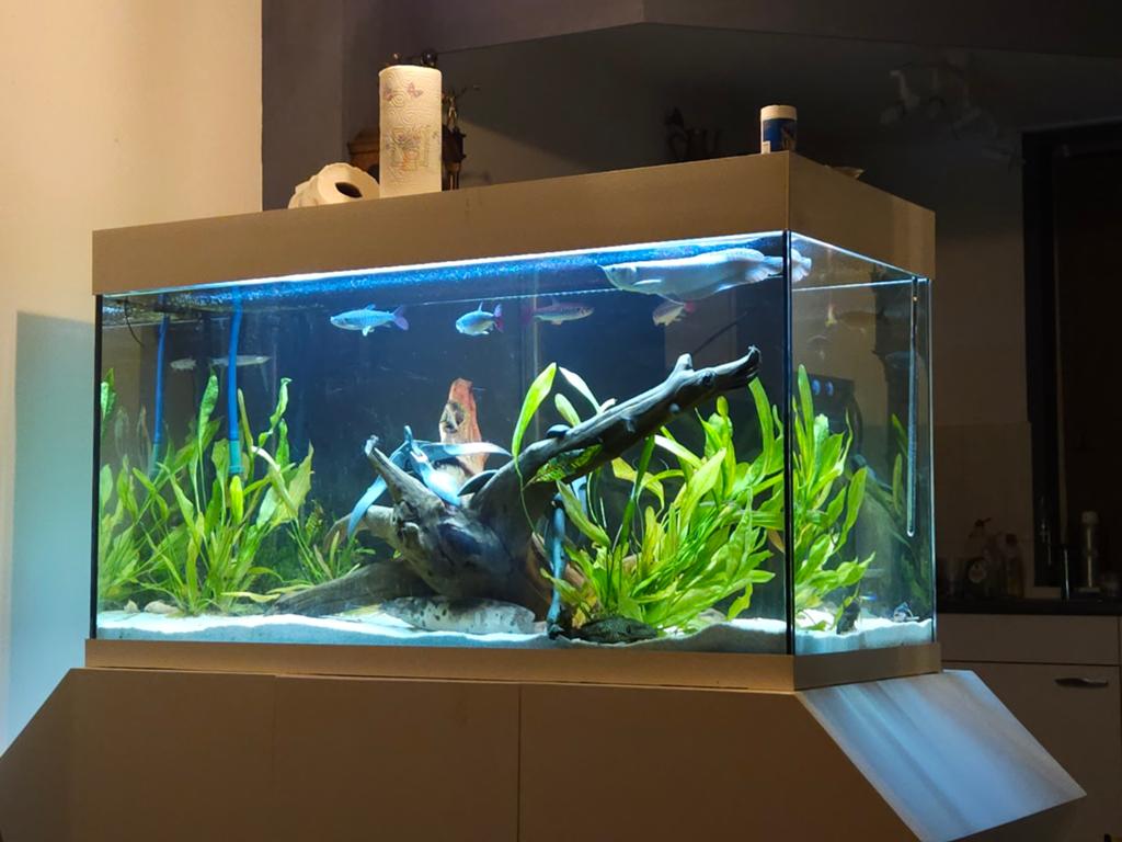 Groot aquarium met onderkast., Dieren en Toebehoren, Vissen | Aquaria en Toebehoren, Ophalen, Leeg aquarium