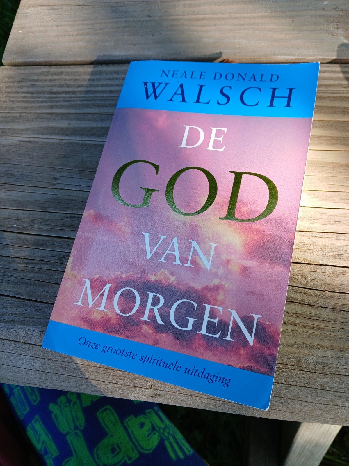 De God van Morgen - Neale Donald Walsch, Boeken, Achtergrond en Informatie, Ophalen of Verzenden, Zo goed als nieuw, Spiritualiteit algemeen