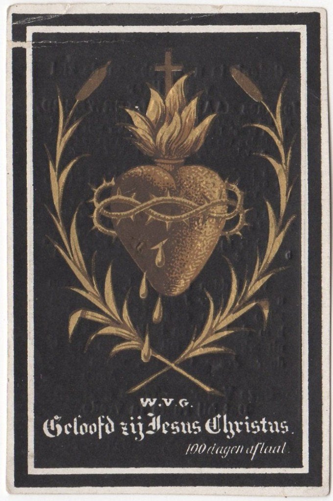 Jan Maarschalkerweerd 1813 - 1894 Schalkwijk, 81 jaar oud, Verzenden