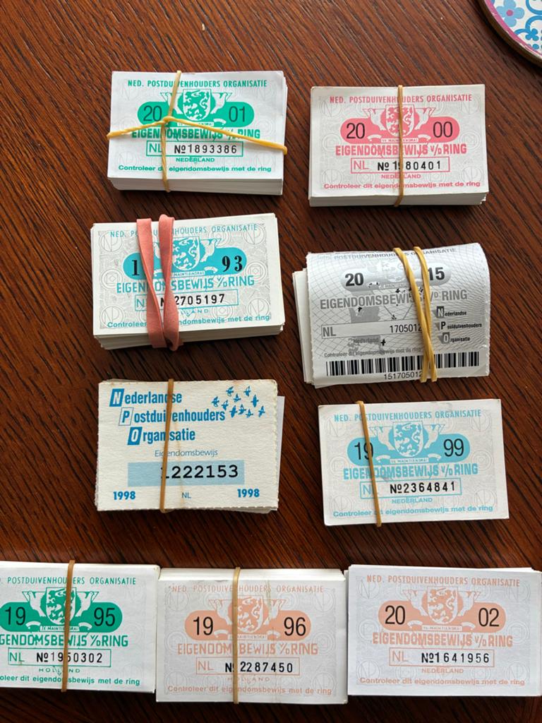 Postduiven  te koop, Meerdere dieren, Postduif