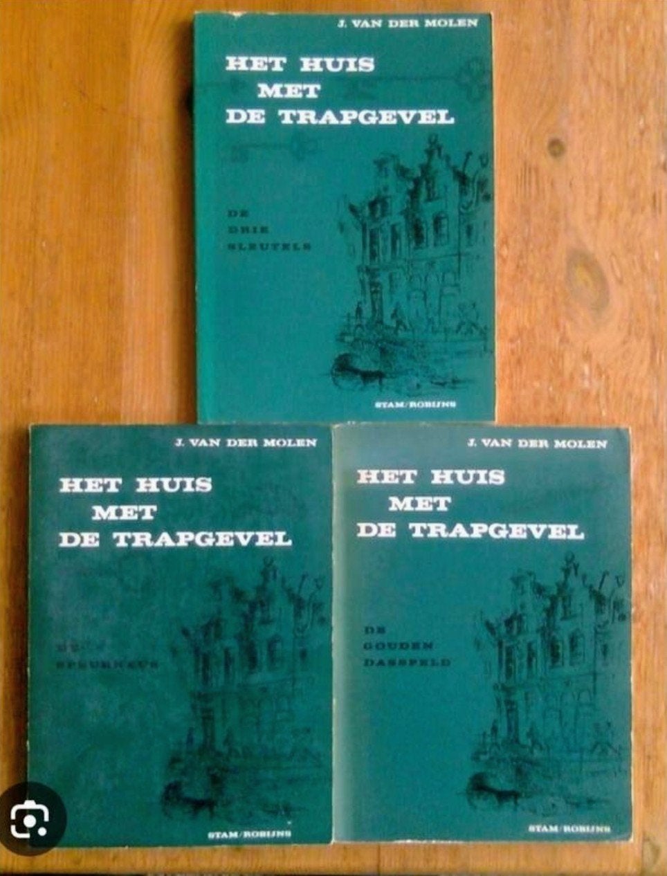 *Gezocht* Het huis met de trapgevel, J. v/d Molen, Verzenden, Gelezen, Zie beschrijving