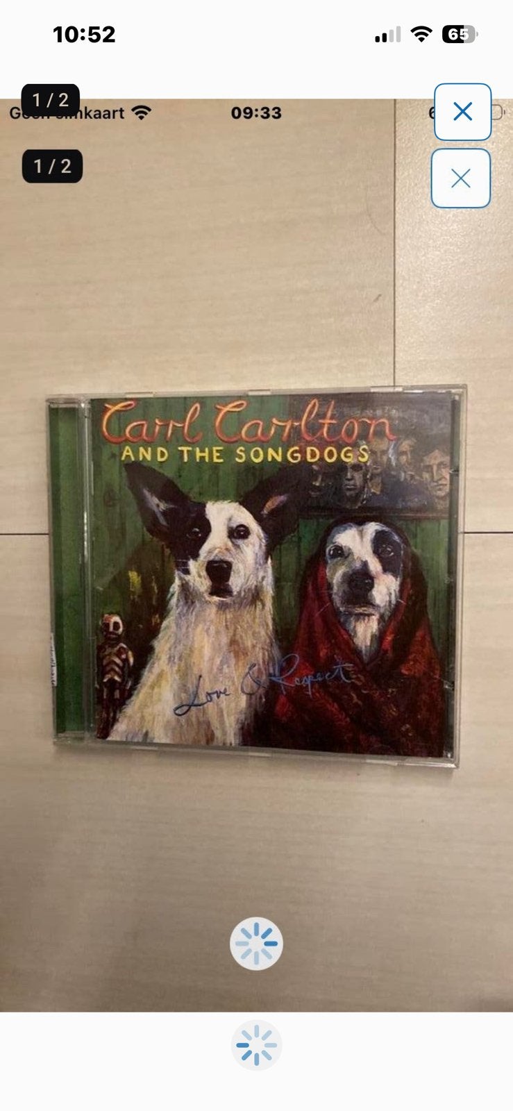Carl Carlton & the Songdogs - respect (bluesrock  gitarist), Cd's en Dvd's, Ophalen of Verzenden, Zo goed als nieuw, Blues Rock
