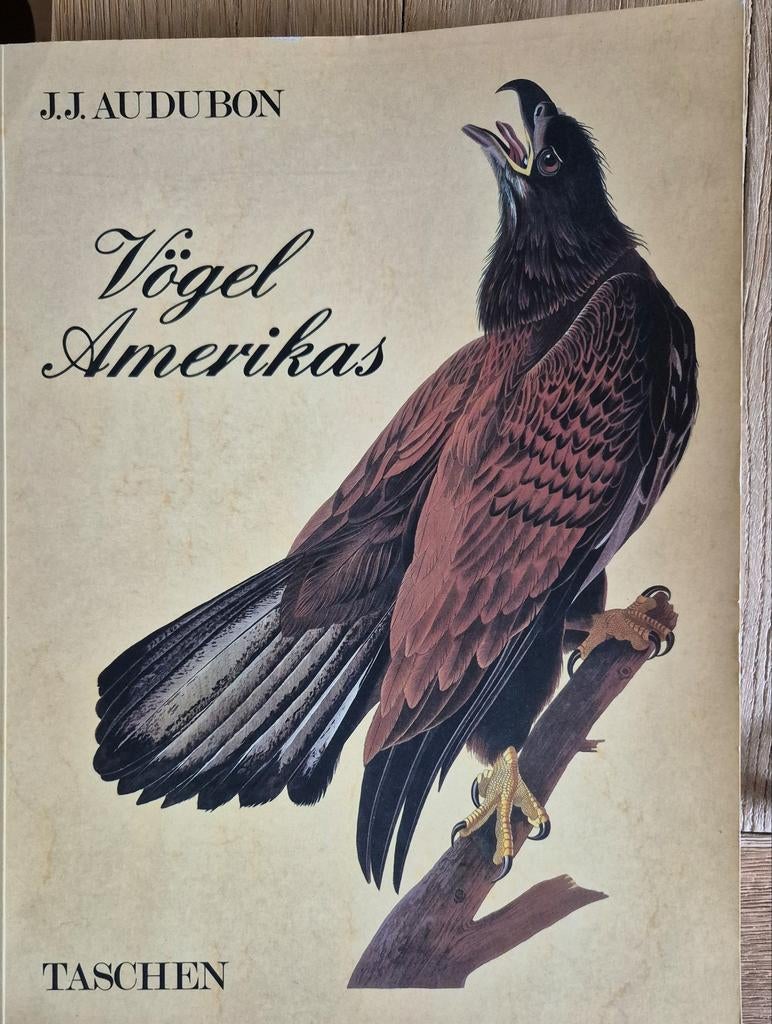 Boek Vogel Amerikas van J.J. Audubon, Ophalen of Verzenden, Gelezen, Vogels