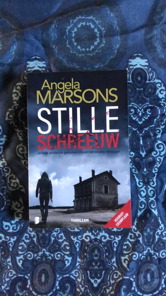 Angela Marsons.  Stille schreeuw, Boeken, Thrillers, Ophalen of Verzenden, Zo goed als nieuw