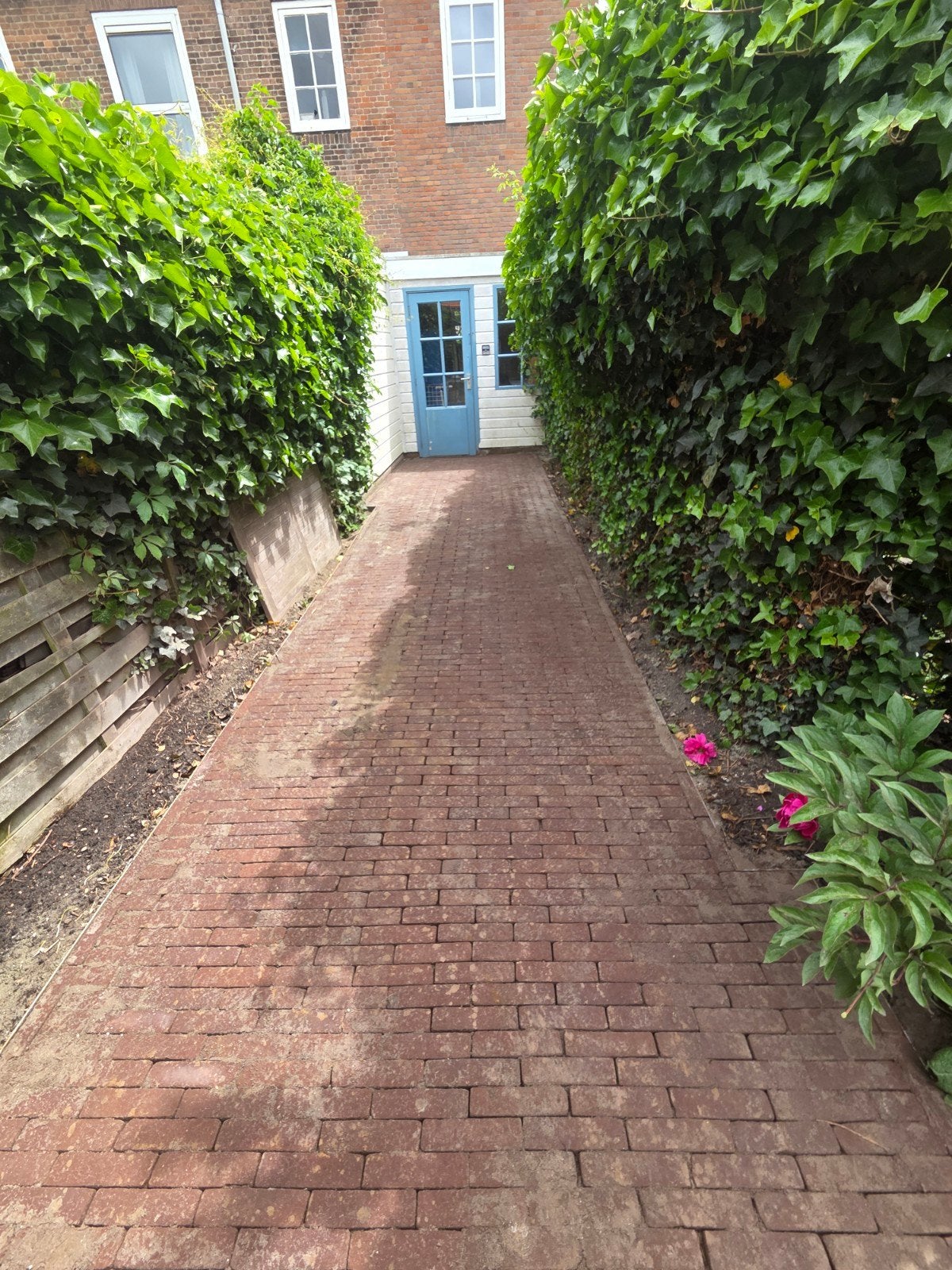 Foto 4 van Hovenier/straatmaker