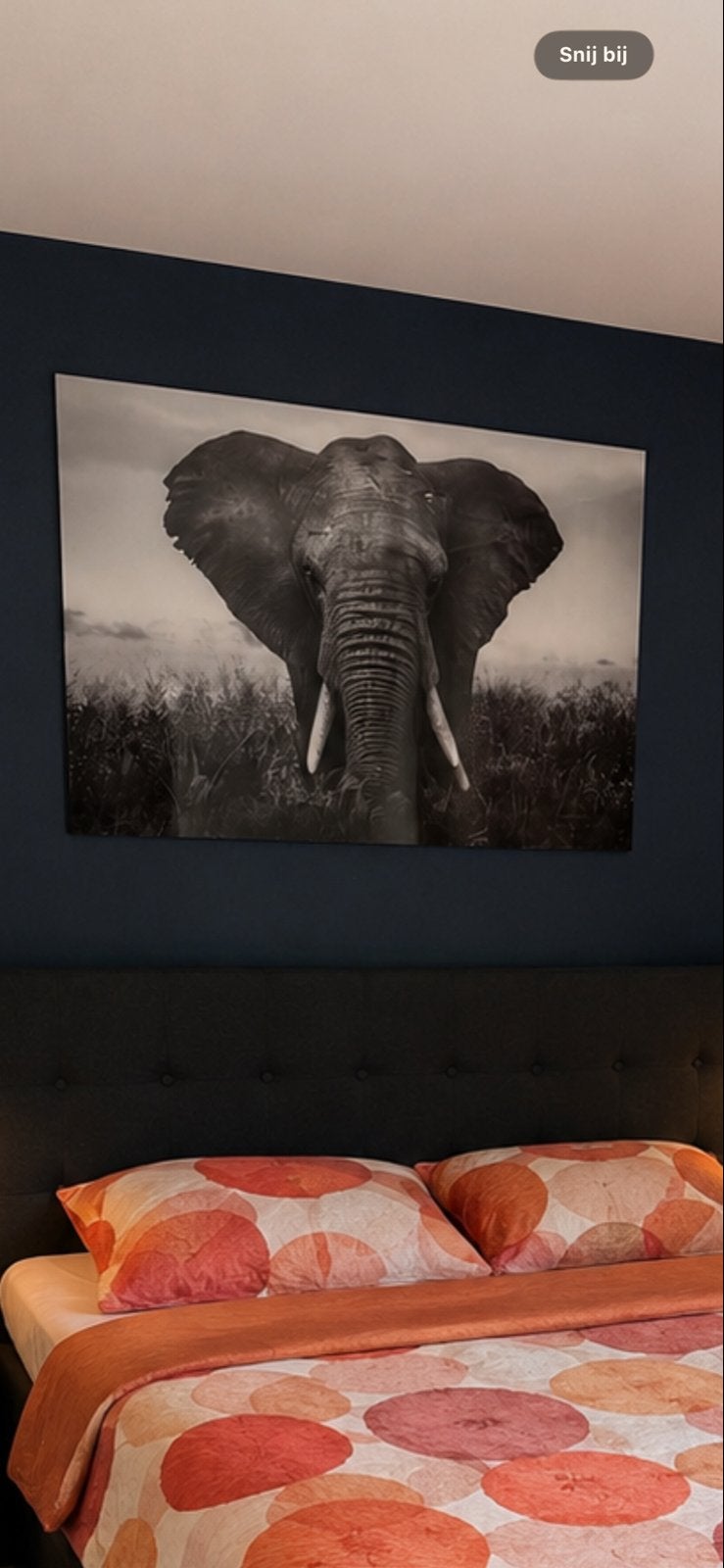 Glasschilderij olifant, Huis en Inrichting, Woonaccessoires | Schilderijen, Tekeningen en Foto's, Ophalen, Zo goed als nieuw, Schilderij