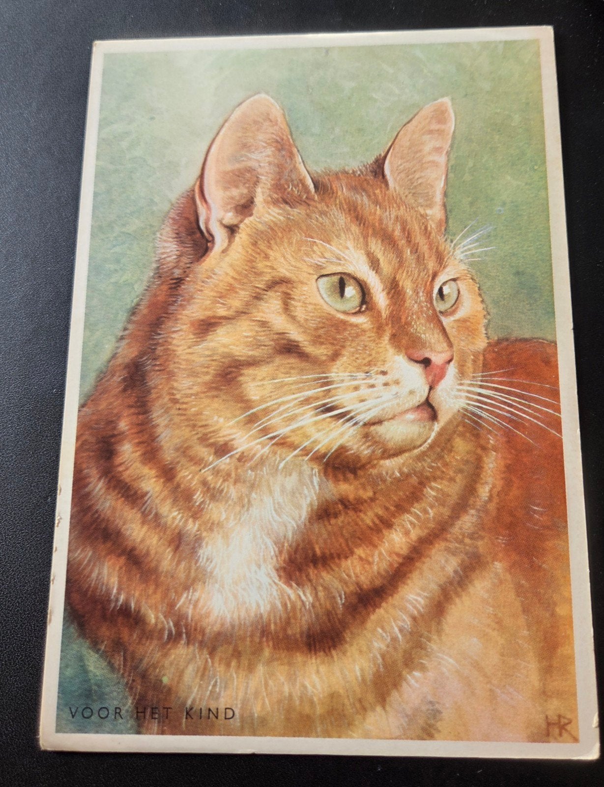Rode Kater - Voor het Kind, Verzamelen, Verzenden, 1960 tot 1980, Ongelopen, Hond of Kat