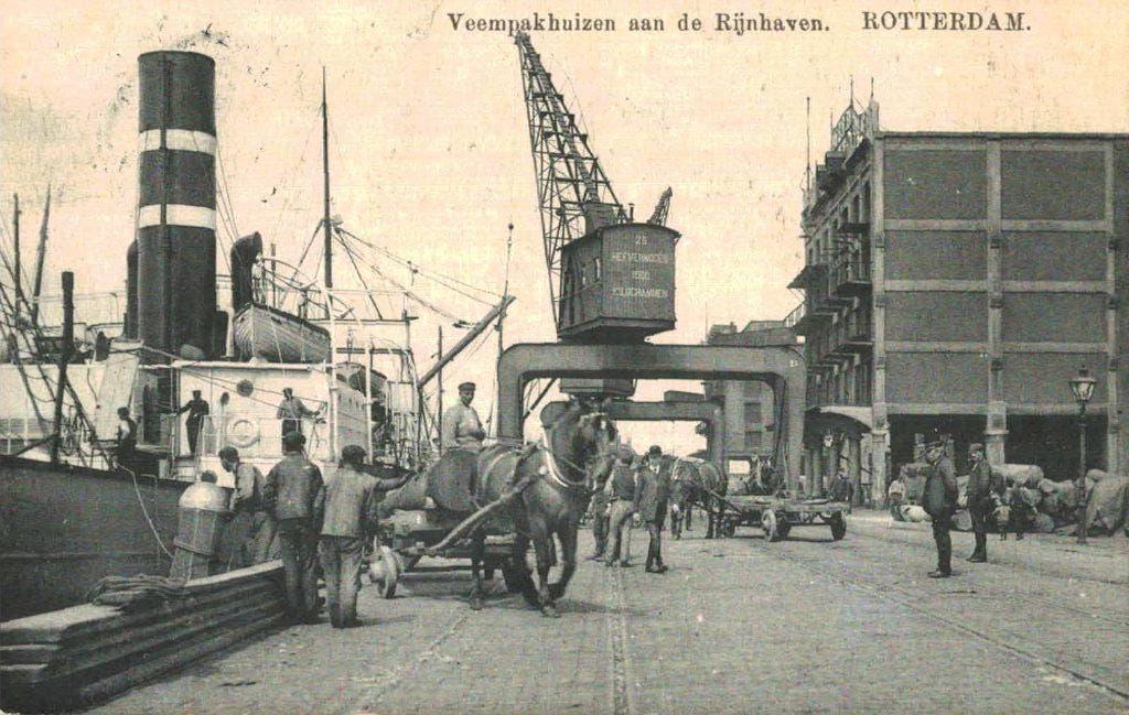 ROTTERDAM Veempakhuizen aan de Rijnhaven, Verzenden, 1920 tot 1940, Gelopen, Zuid-Holland