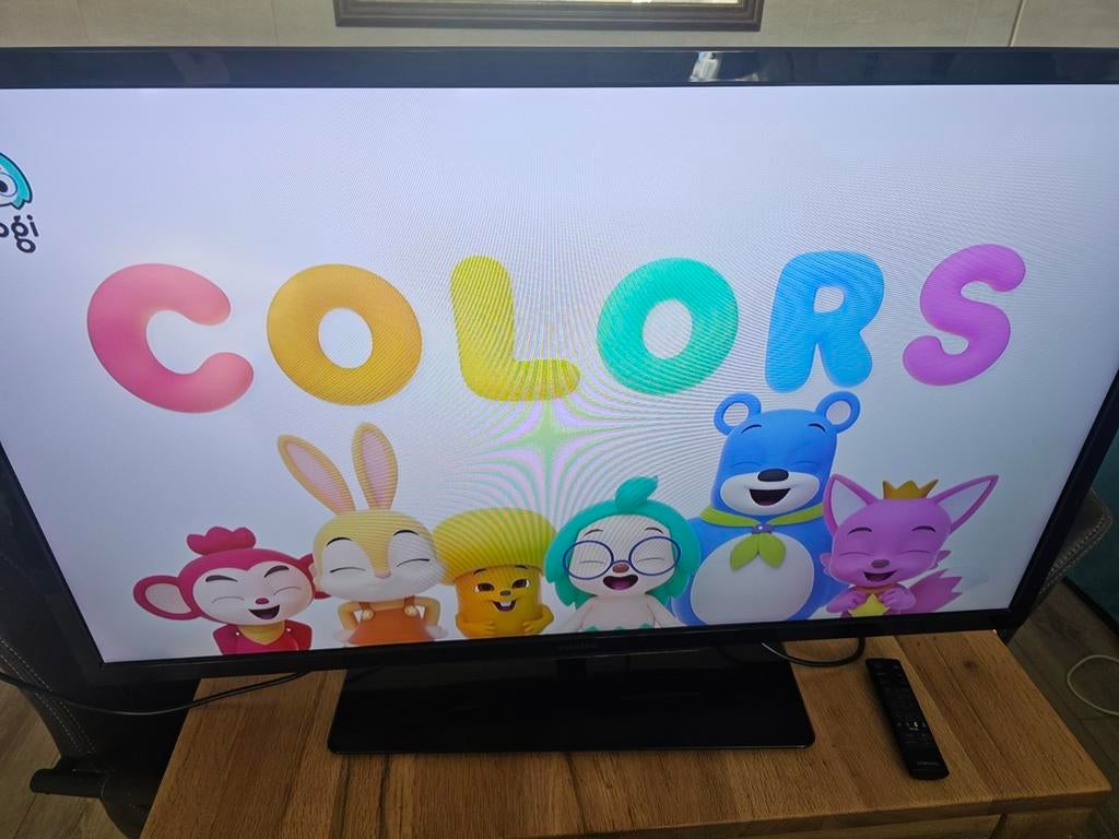 Philips 42 PFL4007 HD TV met afstandsbediening, Ophalen, Philips, Gebruikt, 50 Hz
