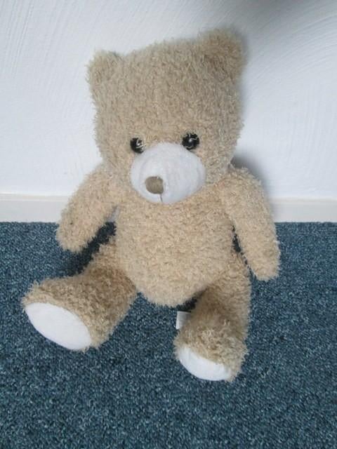 Leuke knuffel beige beer, 30, Ophalen of Verzenden, Nieuw, Beer