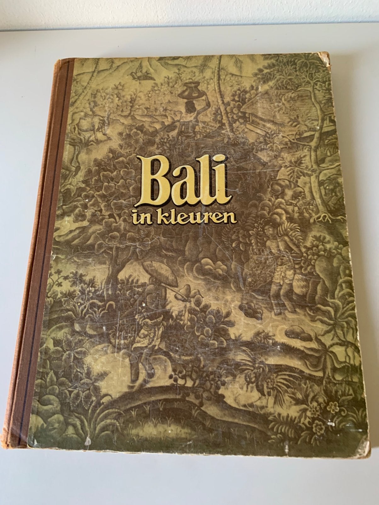 BALI - prachtig album - alle foto’s- douwe egberts 30er jrn, Ophalen of Verzenden, Gelezen