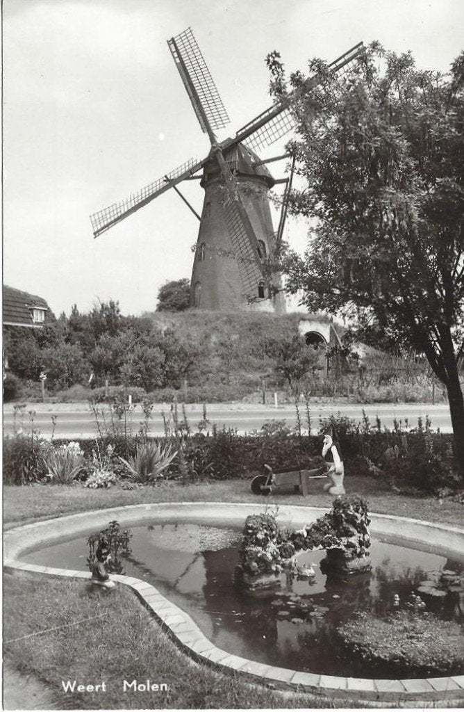 Weert (L.) Molen, Ophalen of Verzenden, 1940 tot 1960, Ongelopen, Limburg