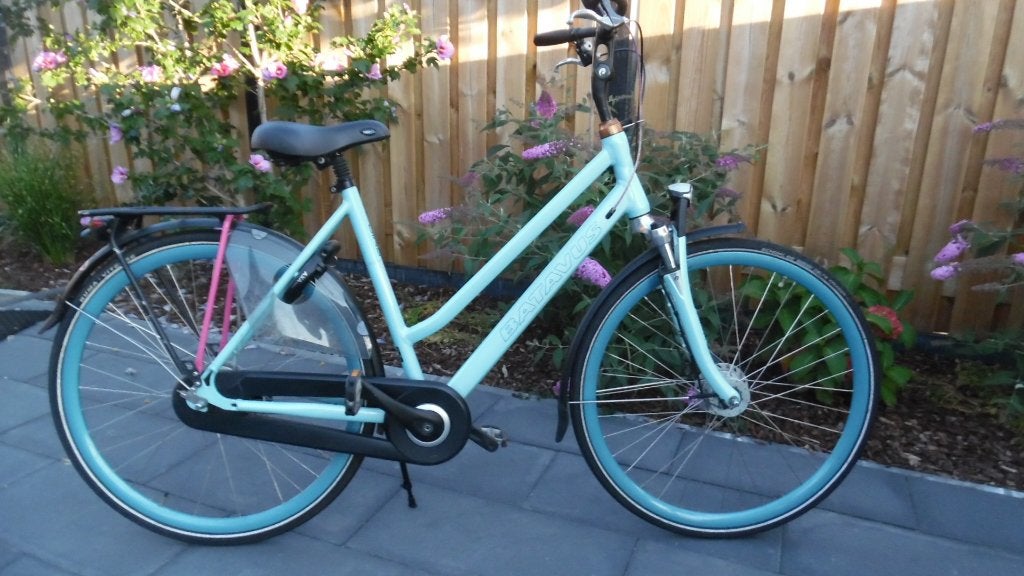 Batavus damesfietsen, Ophalen, Versnellingen, Batavus, 53 tot 56 cm