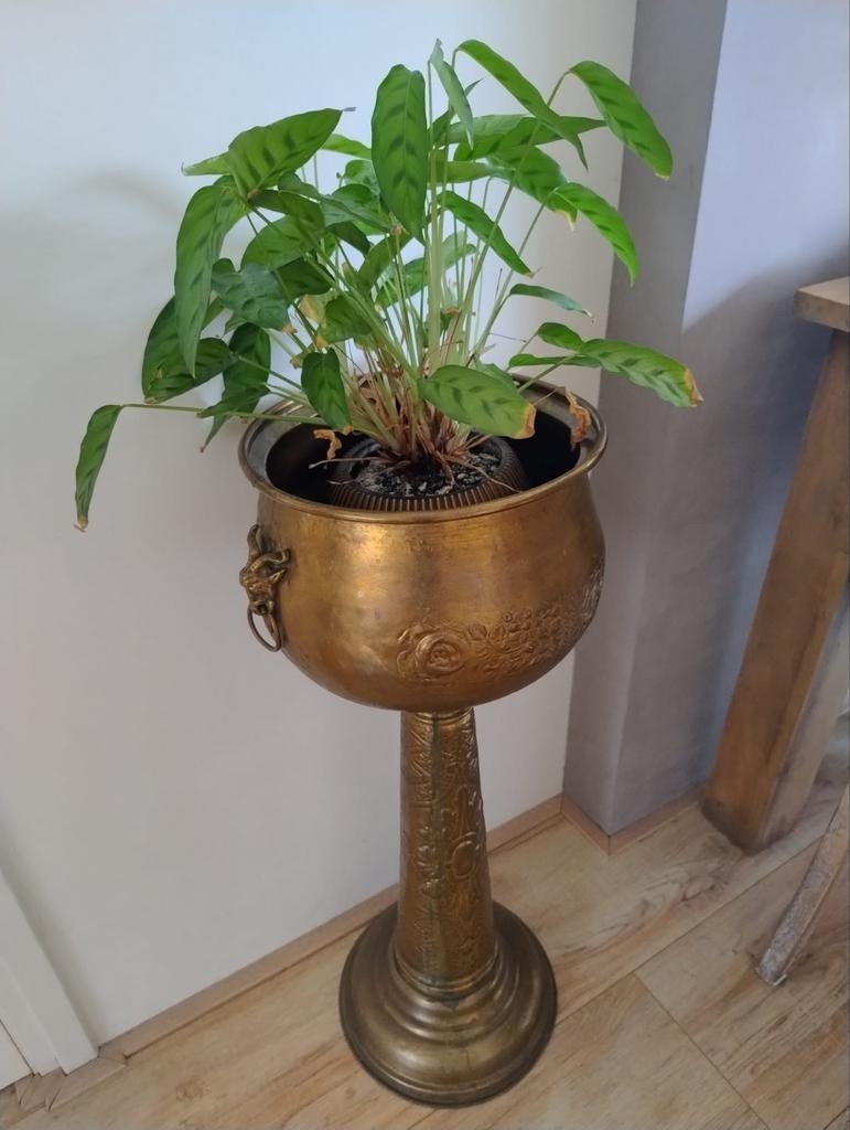 Antieke messing plantenstandaard, jardinière, Ophalen, Overige materialen, Gebruikt, Minder dan 60 cm