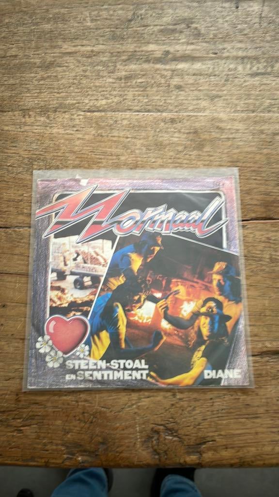 Normaal - Steen stoal en sentiment, Cd's en Dvd's, Vinyl | Nederlandstalig, Ophalen of Verzenden, Zo goed als nieuw, Overige formaten