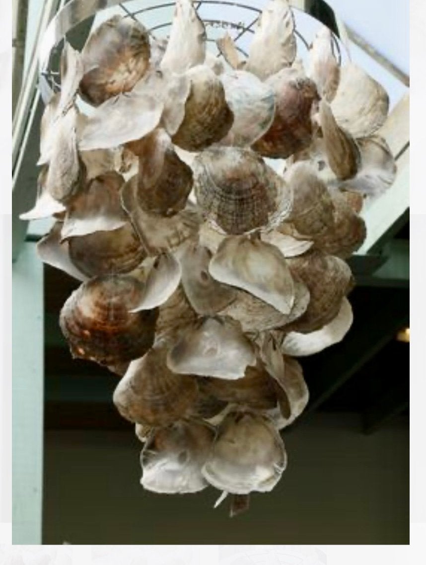 Bijzondere Oester Schelpen Hanglamp - 50cm diameter, Huis en Inrichting, Lampen | Hanglampen, Ophalen, Gebruikt, Metaal