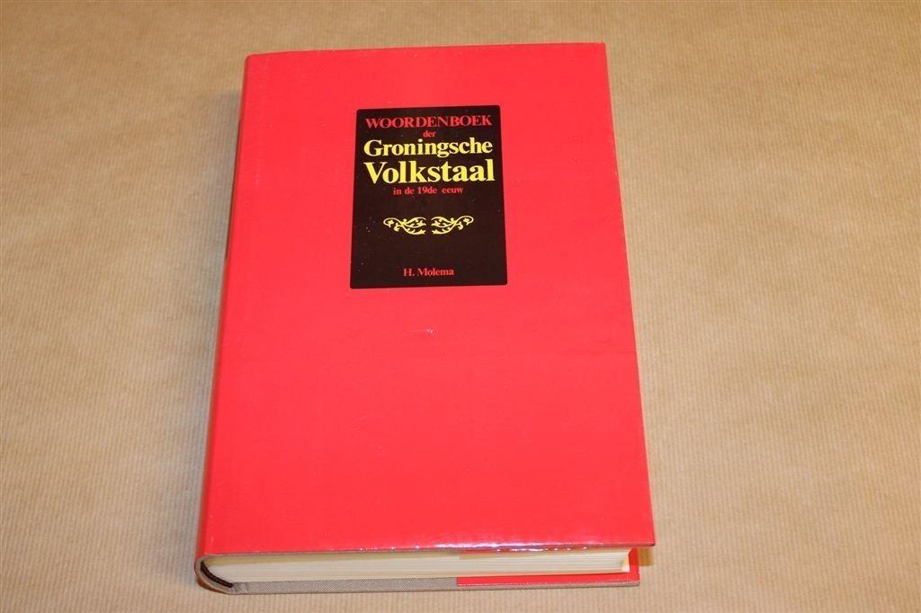 Woordenboek Groningsche Volkstaal 19de Eeuw, Boeken, Ophalen of Verzenden, Zo goed als nieuw