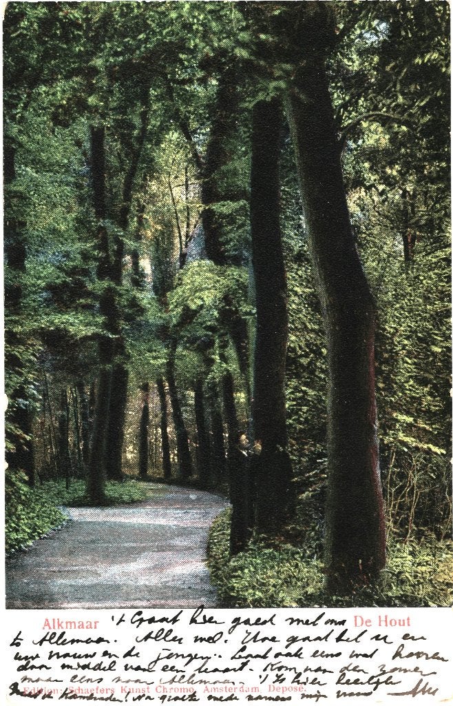 936001 Alkmaar De Hout 1906 Gelopen met zegel, Ophalen of Verzenden, Voor 1920, Gelopen, Noord-Holland