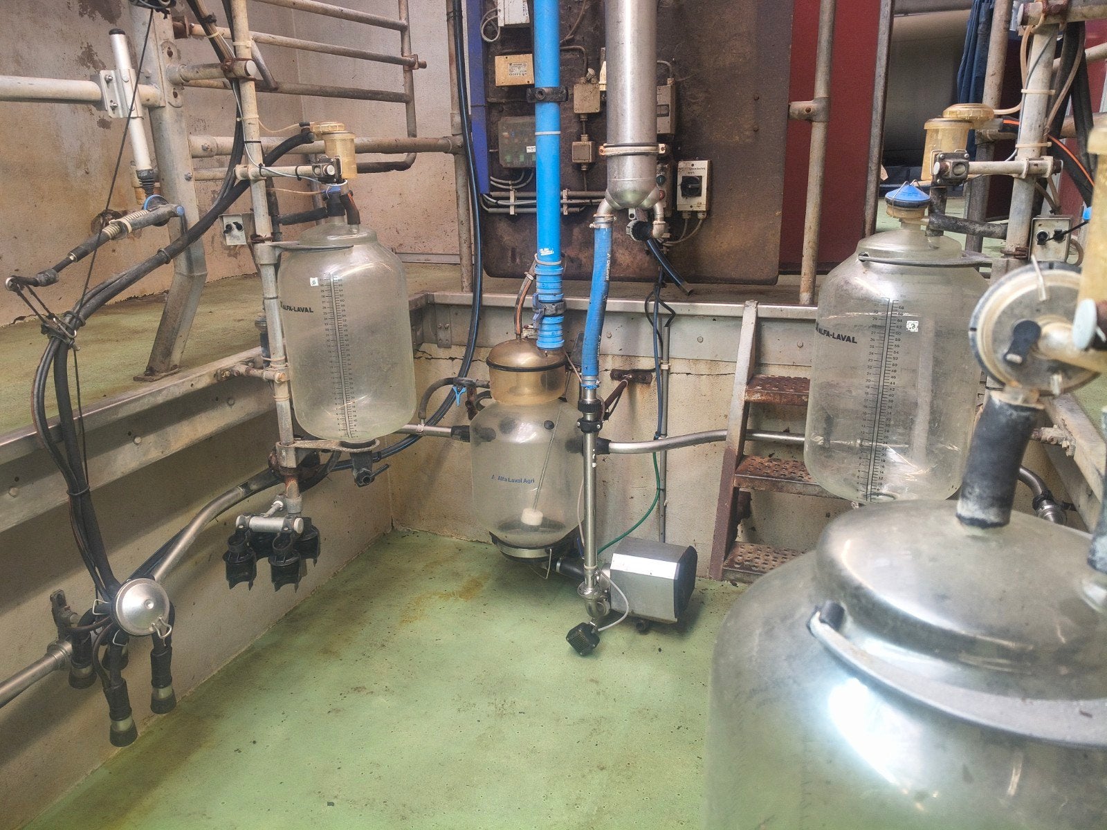 Delaval melkstal, Ophalen, Zo goed als nieuw