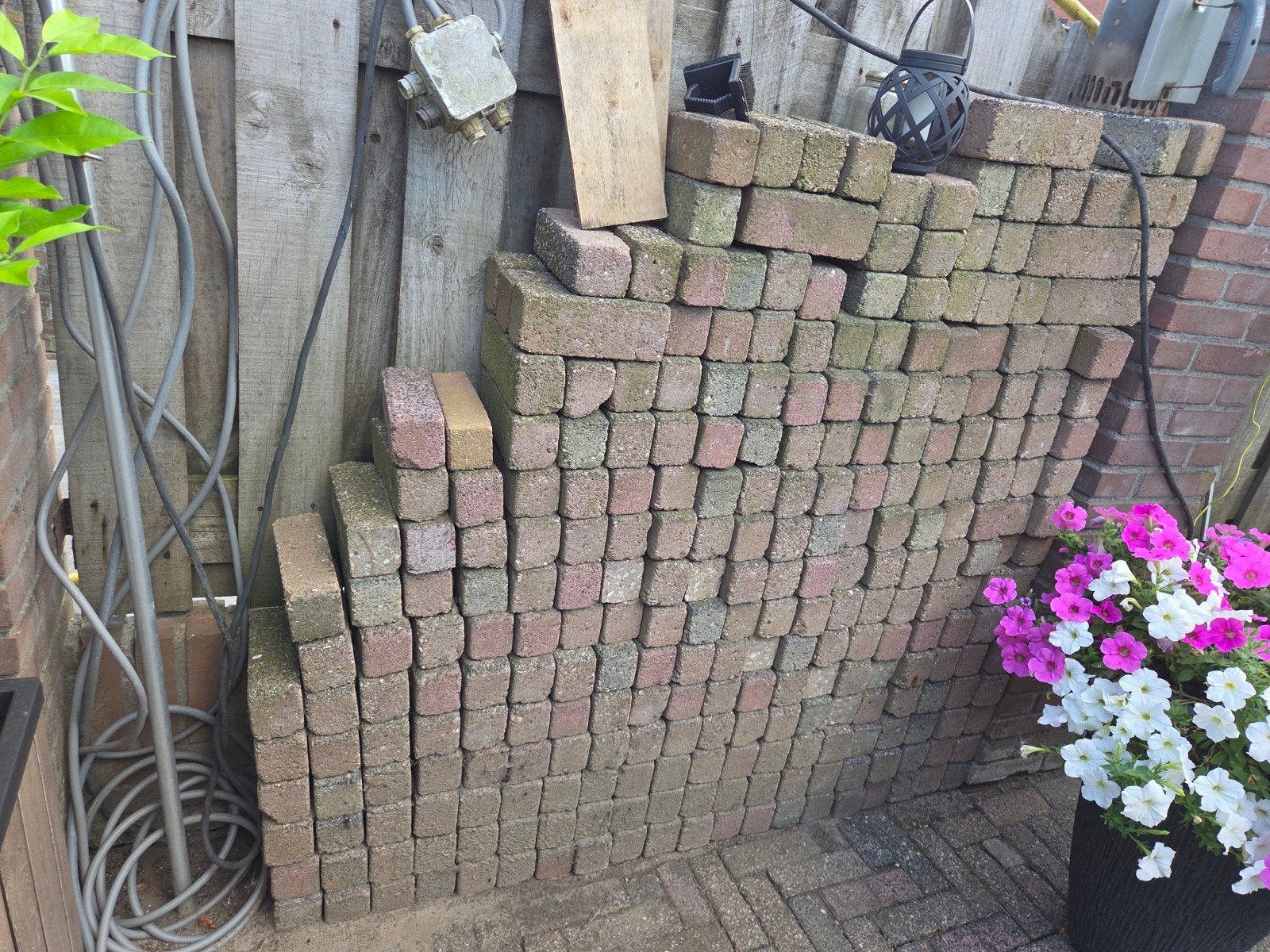Gratis Klinkers (ca. 350 stuks) - Ophalen in Hengelo, Gebruikt, Klinkers, Beton, 5 tot 10 m²