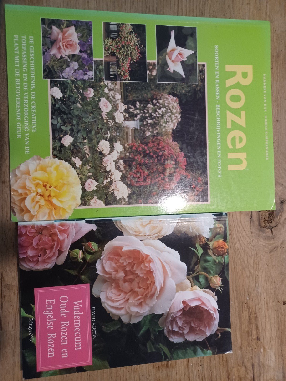 Rozen Boeken: Vademecum Oude Rozen en Engelse Rozen, Ophalen of Verzenden, Gelezen, Hanneke van Dije, Minere Kurpershoek, David Austin