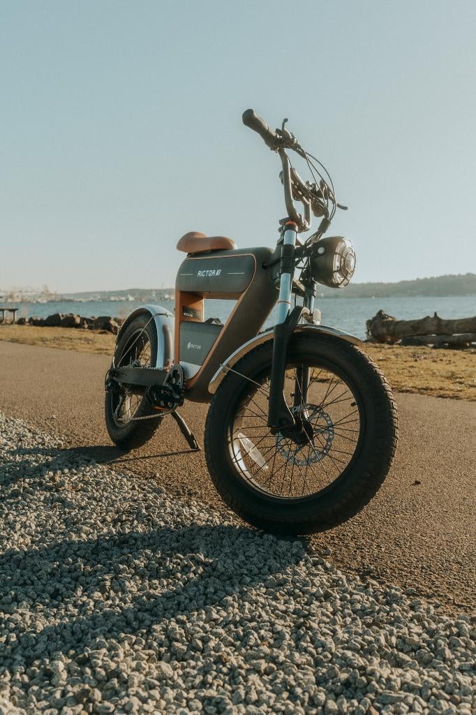 E-Bike bijna nieuwe elektrische fiets – expo-model!, Fietsen en Brommers, Elektrische fietsen, Zo goed als nieuw, Overige merken