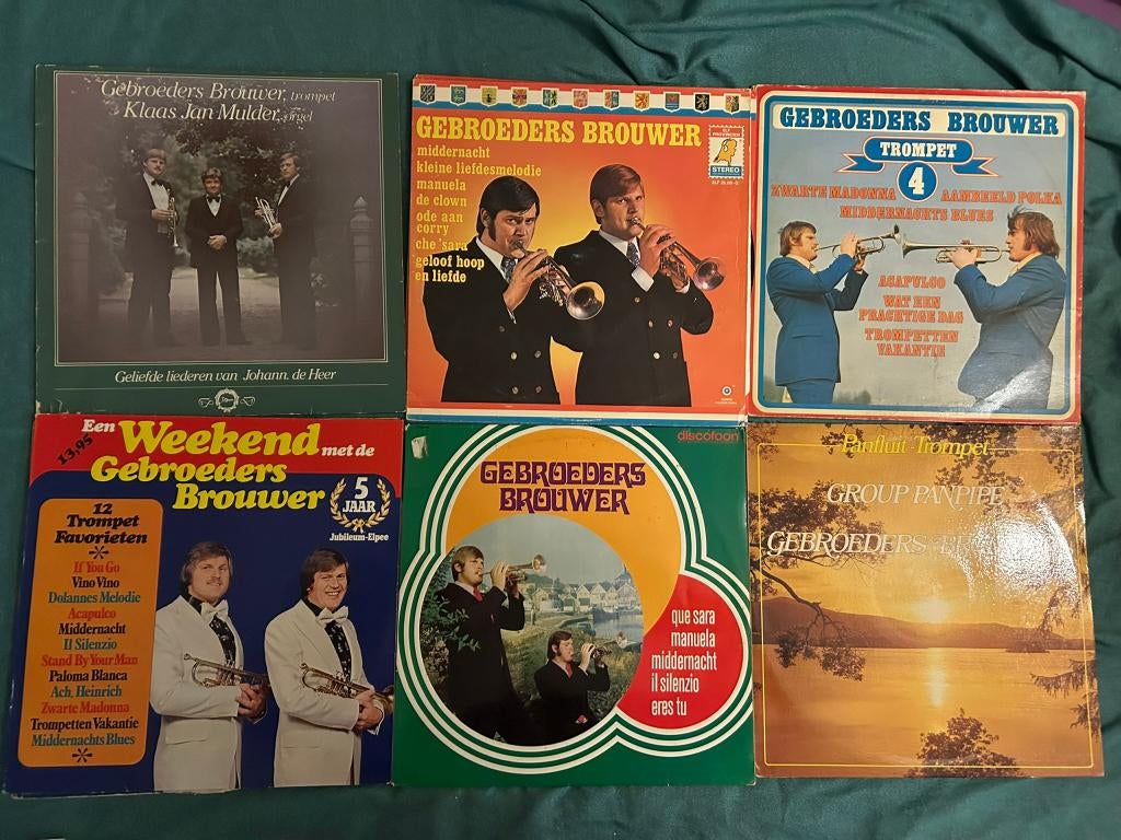 6 LP's Gebroeders Brouwer (ook per stuk te koop), Cd's en Dvd's, Ophalen of Verzenden, Gebruikt, 12 inch, Levenslied of Smartlap