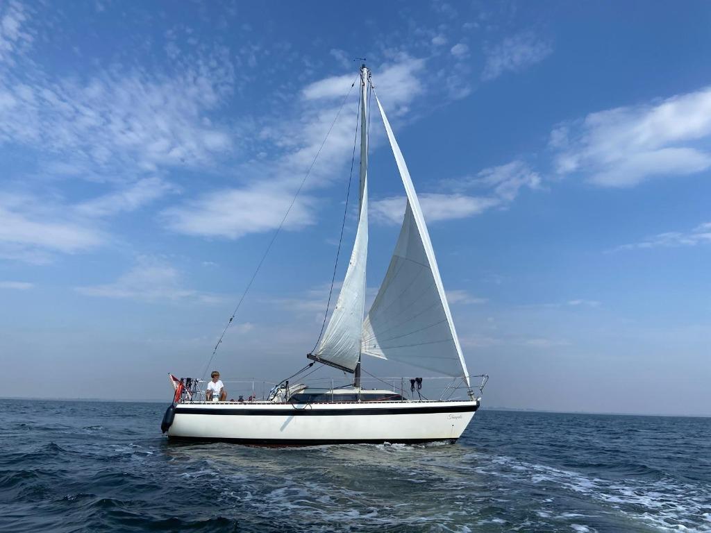 Mooie Friendship 28 zeiljacht met geheel gereviseerde motor!, Watersport en Boten, 9 m, Gebruikt, 1.95 meter, Binnenboordmotor