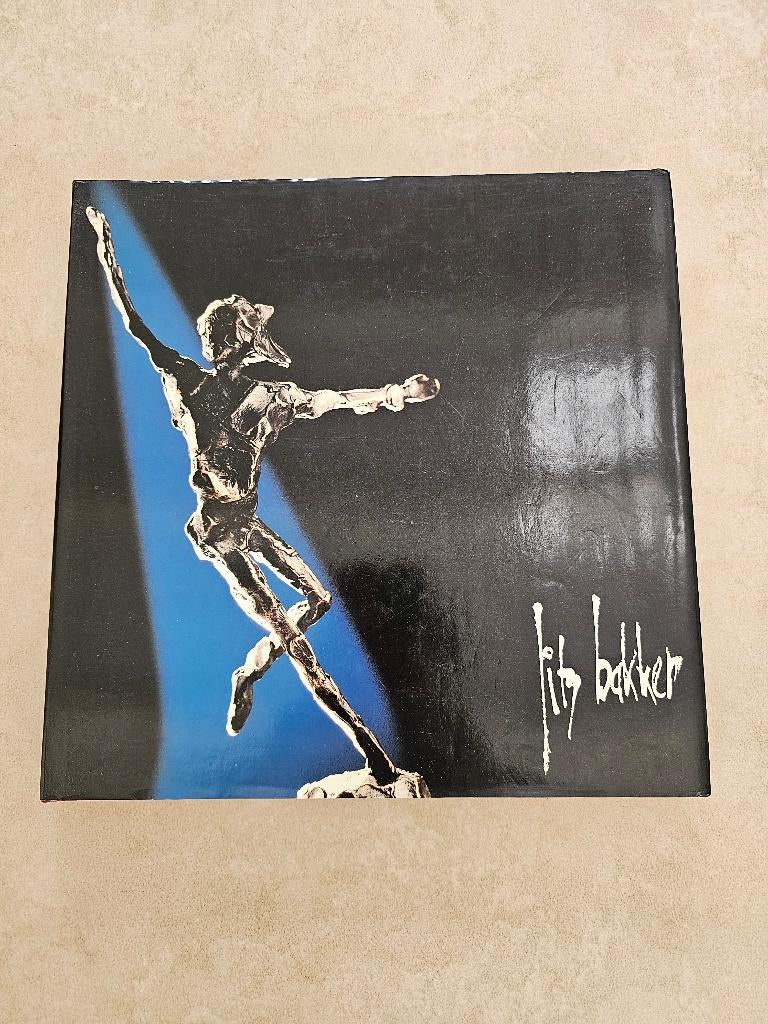 Kunstboek - Remi de Cnodder - Jits Bakker z.g.a.n., Ophalen of Verzenden, Zo goed als nieuw, Jits Bakker