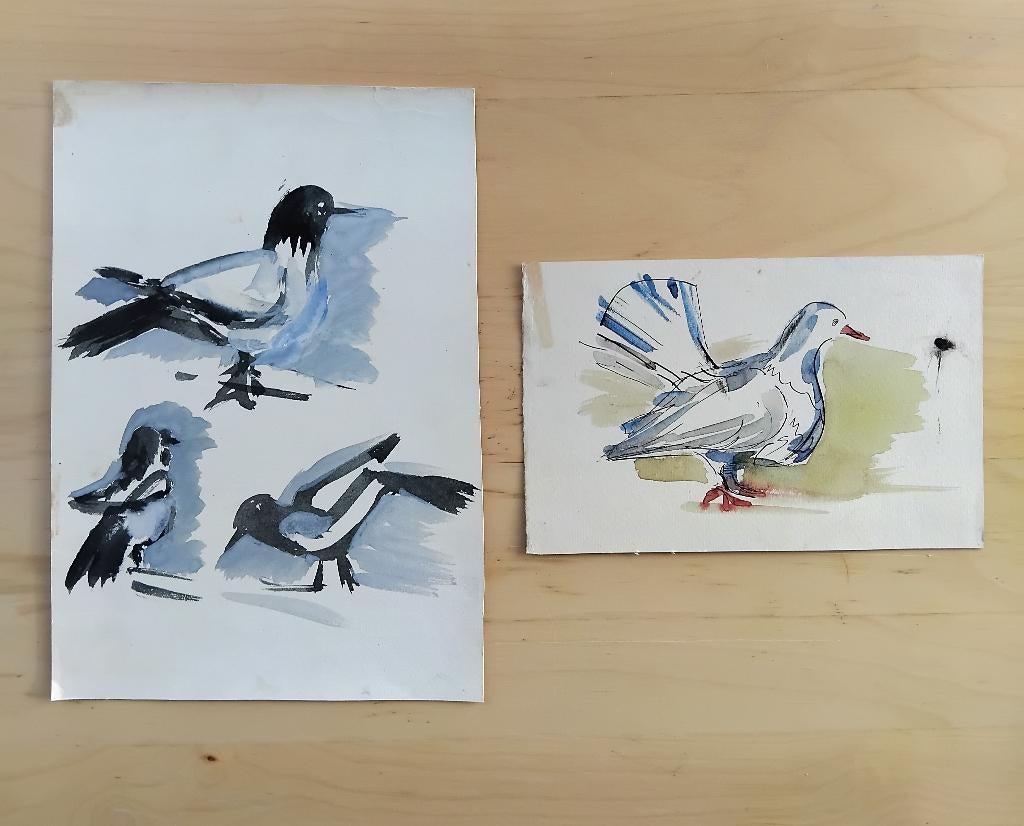 Twee originele aquareltekeningen. Vogels., Antiek en Kunst, Kunst | Schilderijen | Klassiek, Ophalen of Verzenden