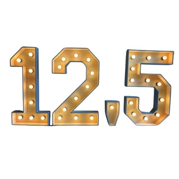 Mooi lichtletters te huur!Voor elk feest of event!, Hobby en Vrije tijd, Feestartikelen | Verhuur, Ophalen of Verzenden, Nieuw